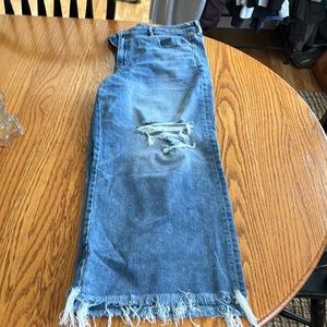 American eagle wide leg skater jean